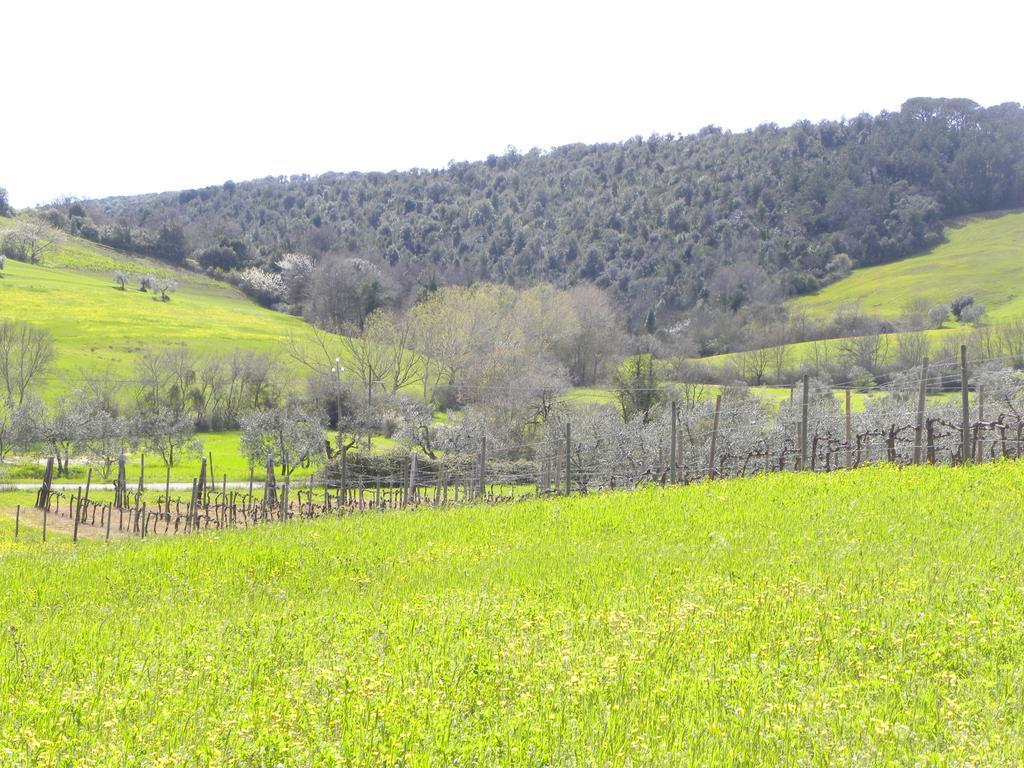 Agriristoro Podere S. Andrea Massa Marittima Exteriér fotografie