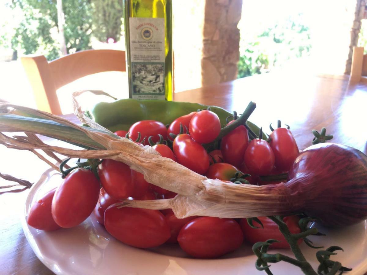 Agriristoro Podere S. Andrea Massa Marittima Exteriér fotografie