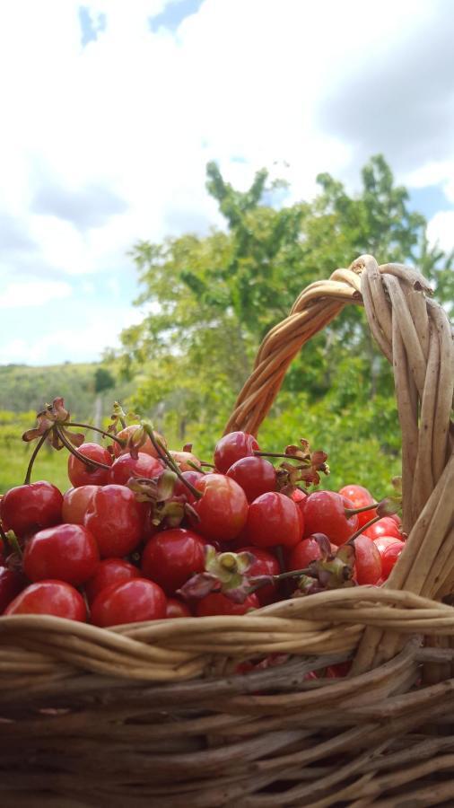 Agriristoro Podere S. Andrea Massa Marittima Exteriér fotografie